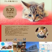 トニャリエ譲渡会【毎月第3土曜 定期開催】