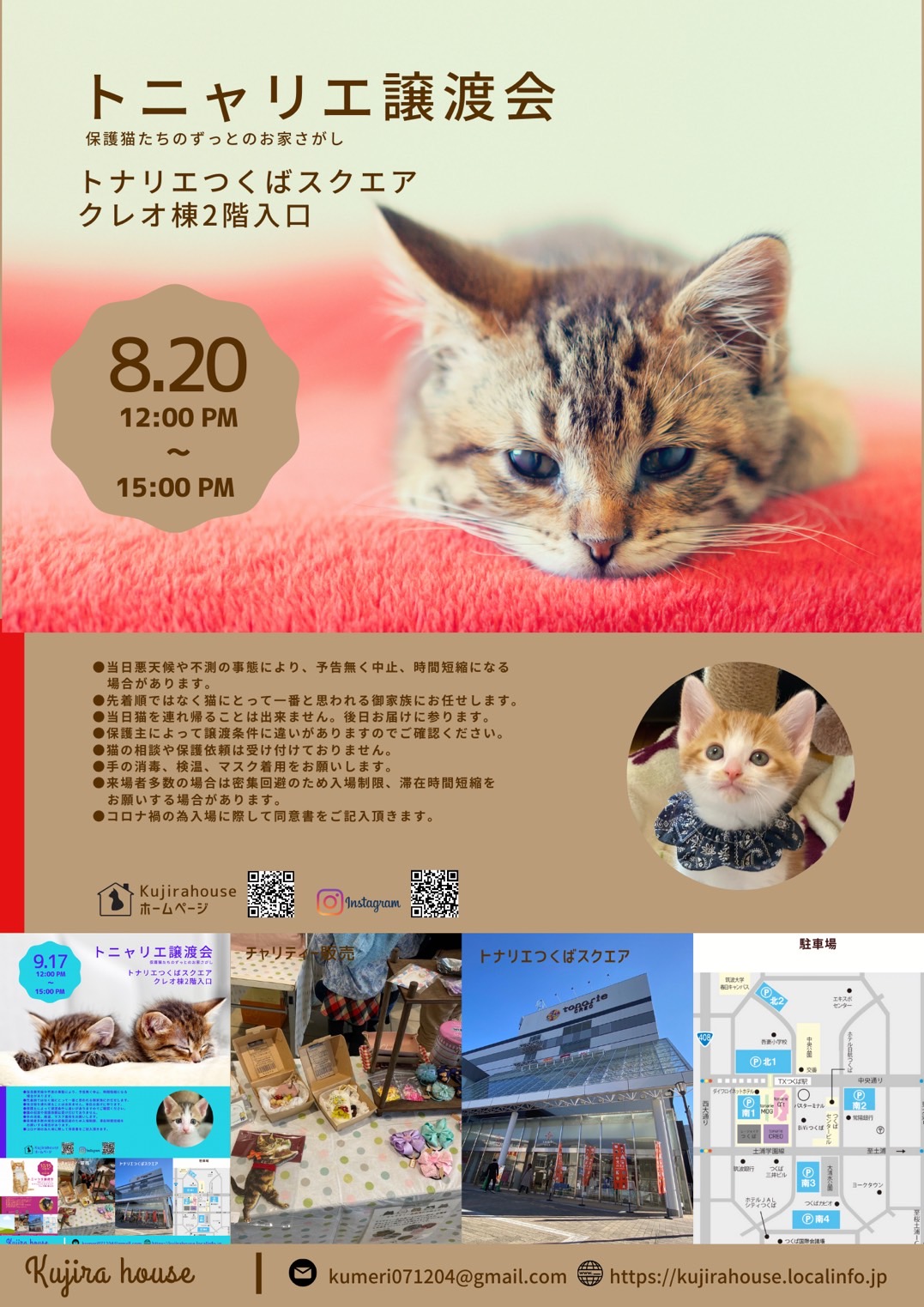 トニャリエ譲渡会【毎月第3土曜 定期開催】