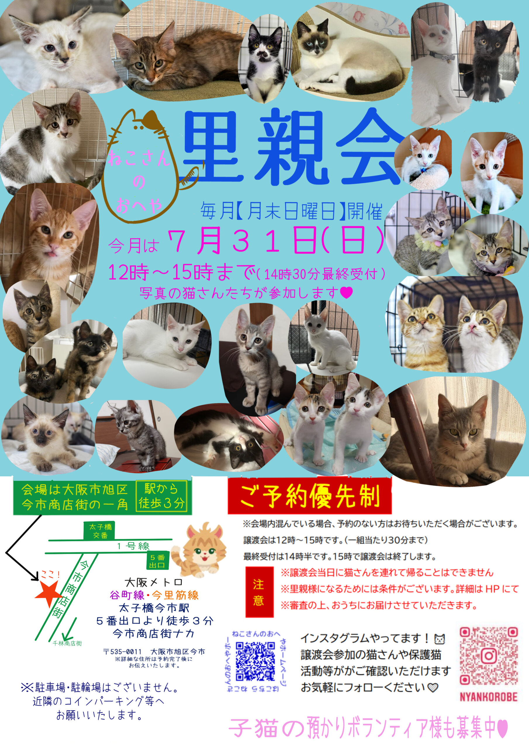 子猫がいっぱい譲渡会！