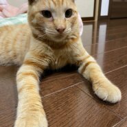 生後6か月の男の子♪