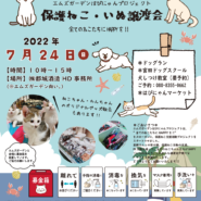 はぴにゃんプロジェクト第7回ねこ犬譲渡会