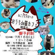 おうちde猫カフェ