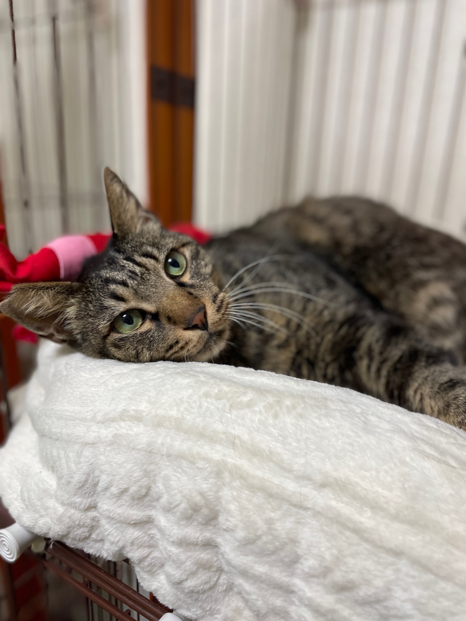 人が大好き甘えん坊な男の子