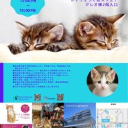 トニャリエ譲渡会