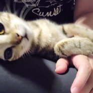 にこ♂元気いっぱいやんちゃくん