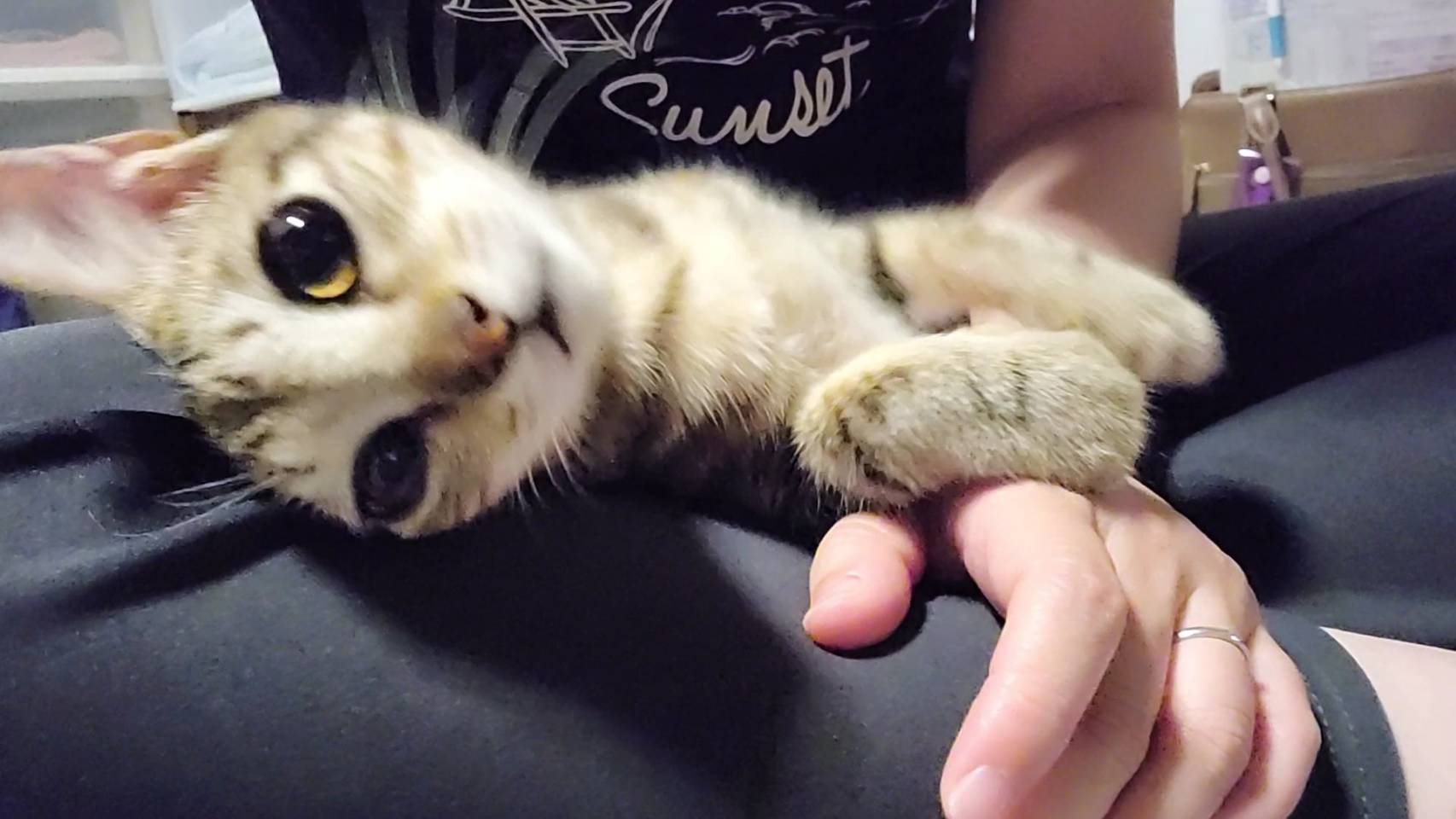 にこ♂元気いっぱいやんちゃくん