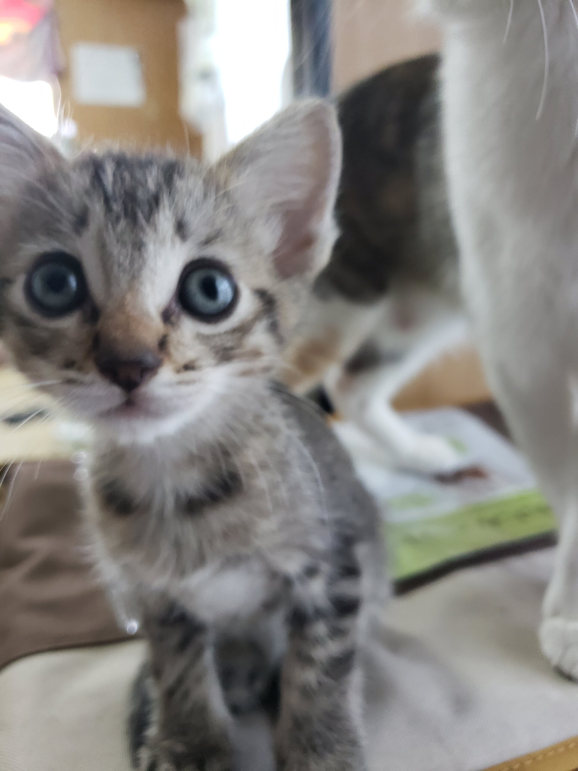 好奇心旺盛な女の子