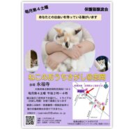 第８回ねこのおうちさがし＠忠岡