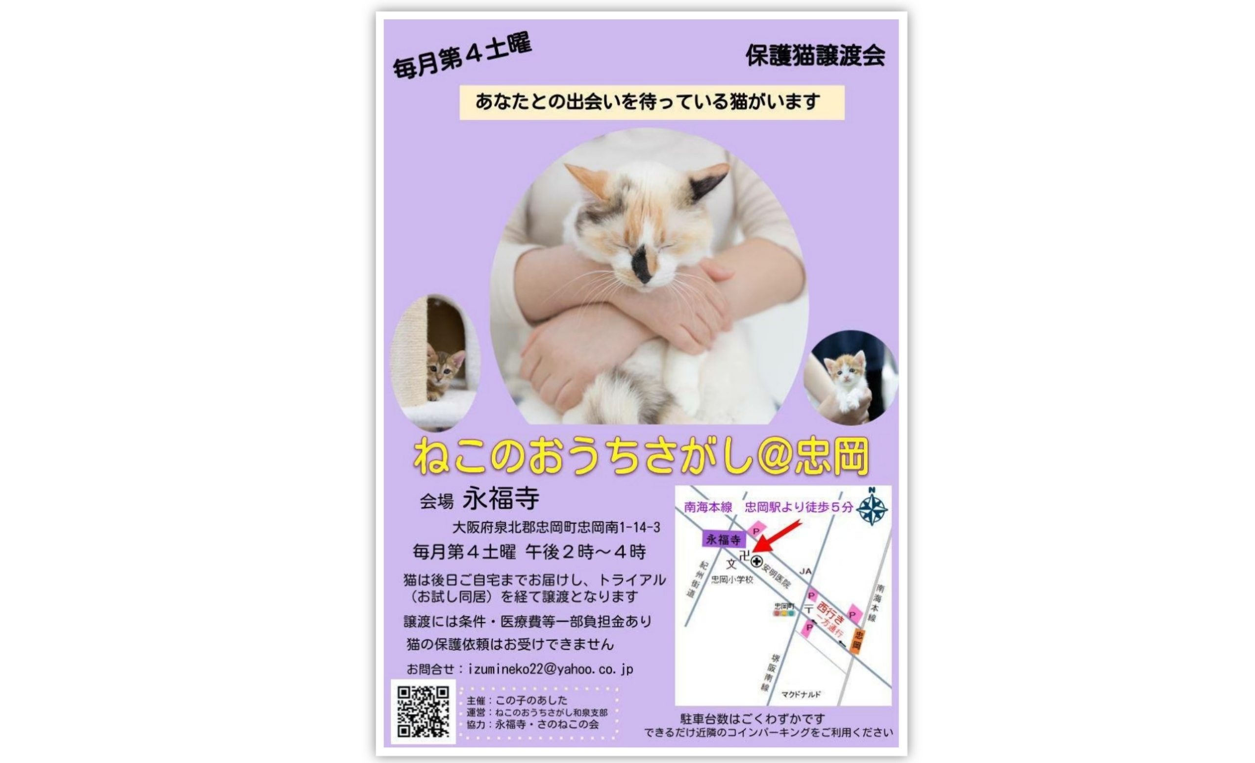 第８回ねこのおうちさがし＠忠岡