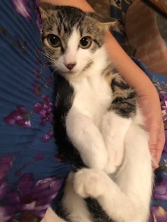 ビビりな甘えん坊ボーイのセイン！