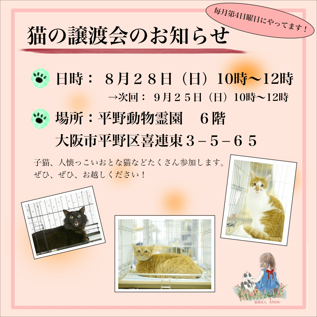 大阪市の猫の譲渡会