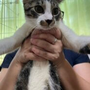 人馴れ抜群で愛嬌のある可愛いライくん！