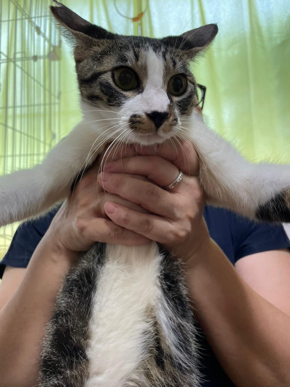 人馴れ抜群で愛嬌のある可愛いライくん！