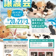 保護猫の譲渡会
