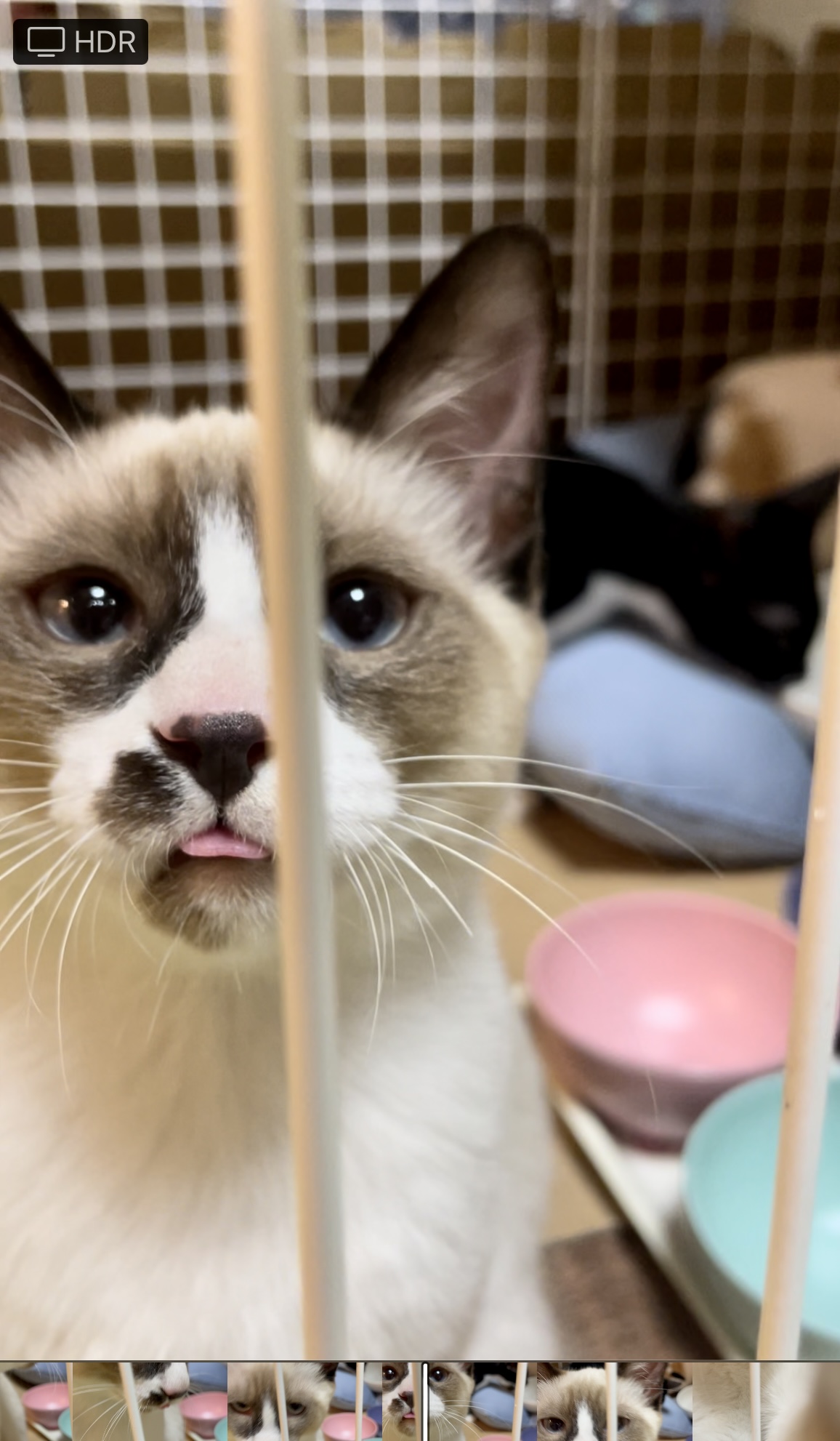 生後4ヶ月前後の男の子