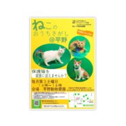 第2回ねこのおうちさがし＠平野
