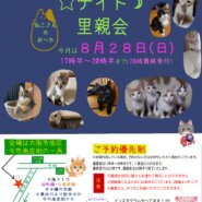 子猫いっぱい里親会！