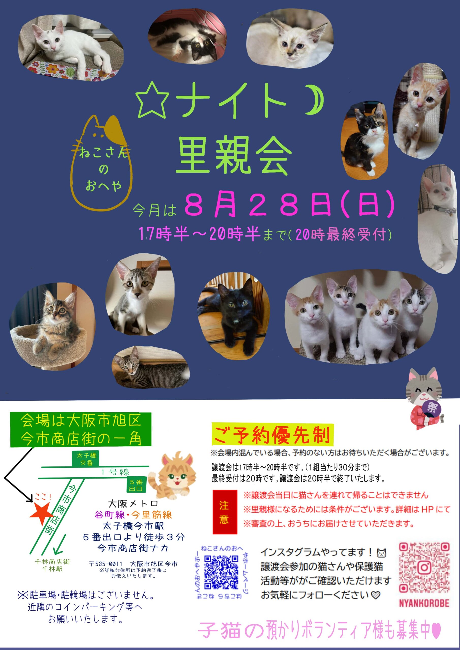 子猫いっぱい里親会！