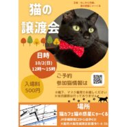 大阪京橋猫の譲渡会