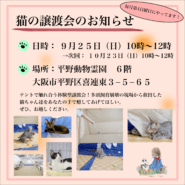 体験型ねこの譲渡会