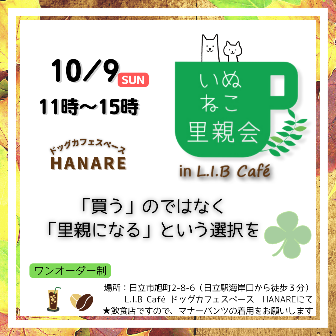 里親会 @L.I.Bcafe