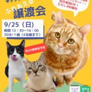 CATS WELCARE譲渡会