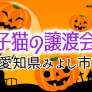 ちっちゃい猫25匹／みよし市