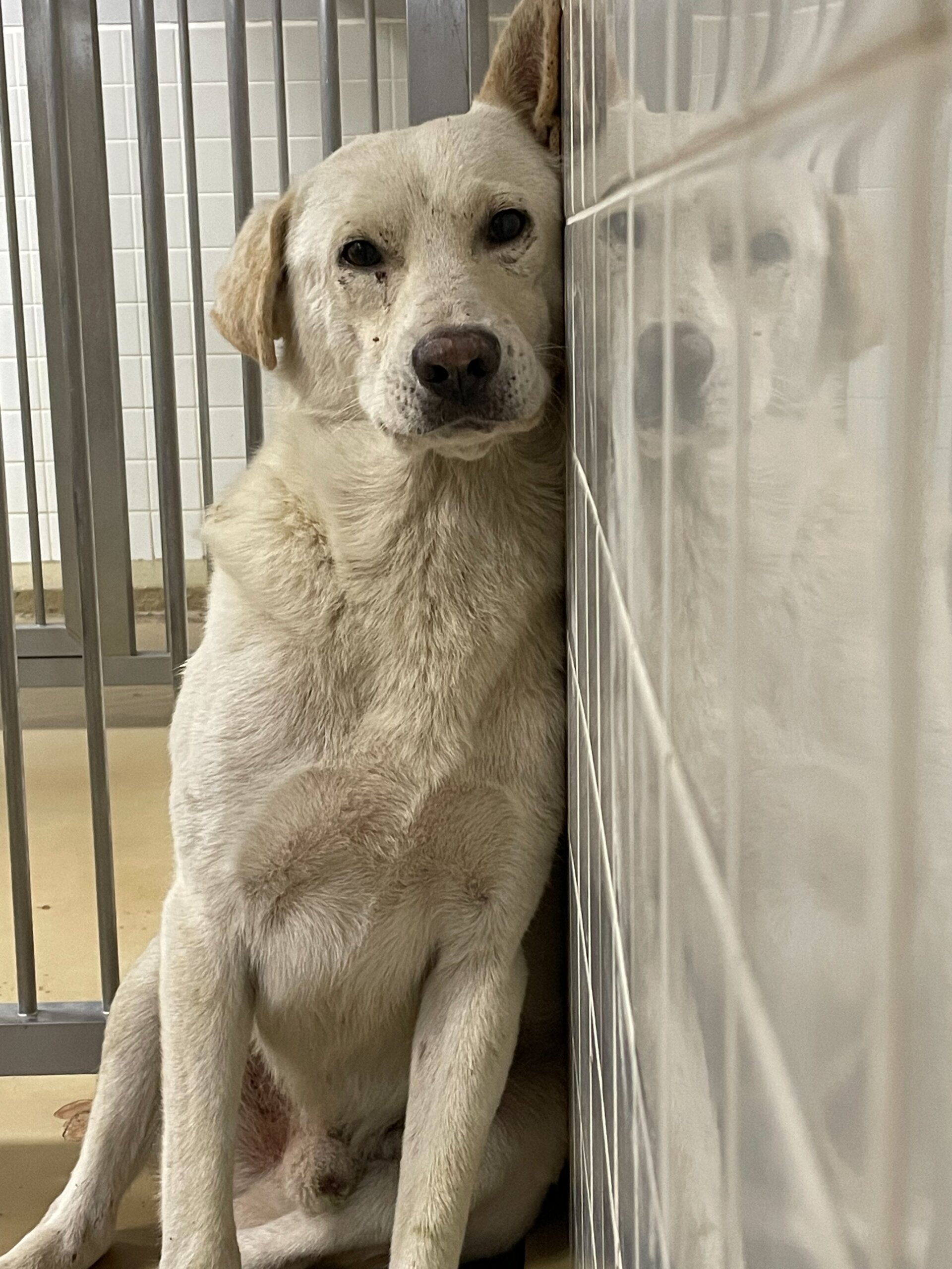 寂しくて壁にすがる男の子です