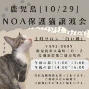 鹿児島Noa保護猫譲渡会