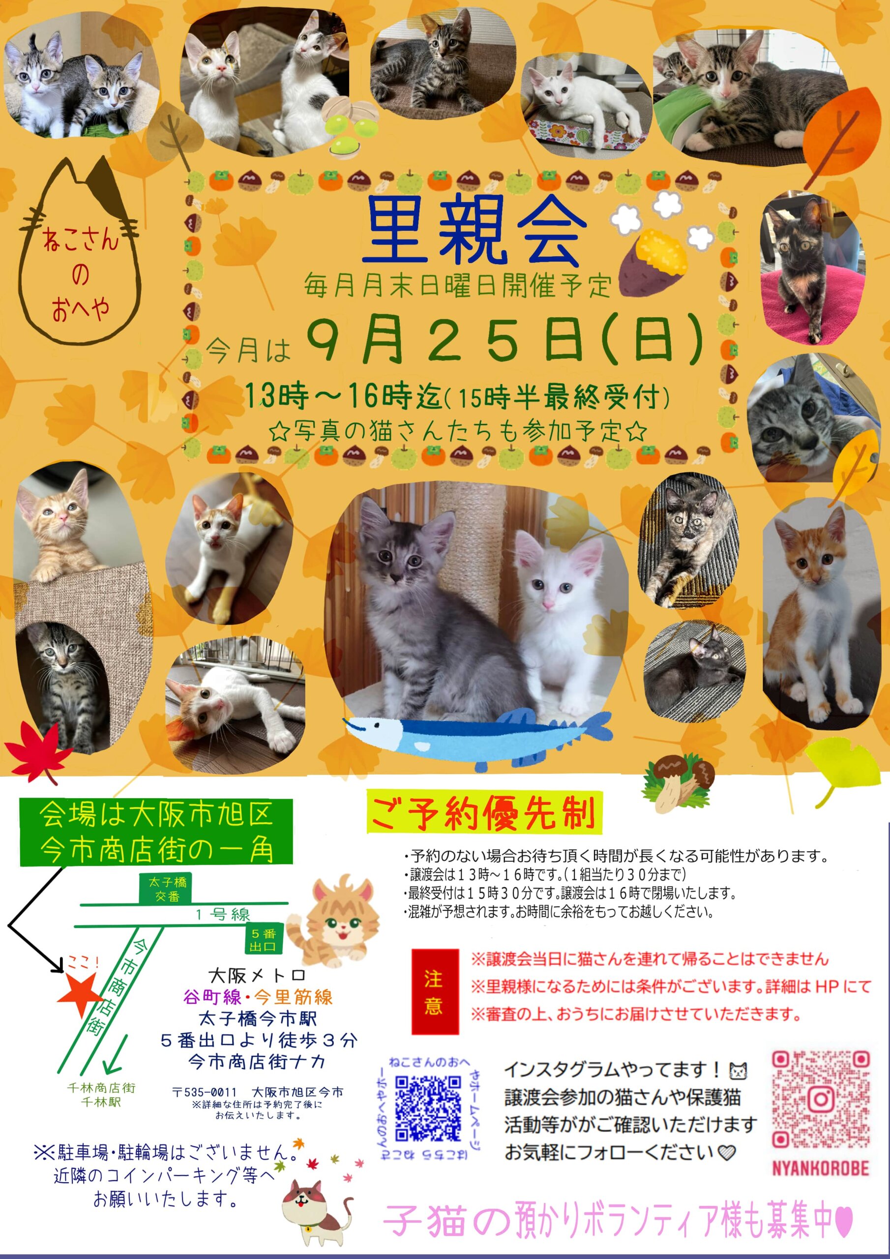 子猫いっぱい里親会！