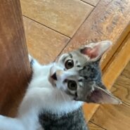 生後3ヶ月の仲良し兄妹