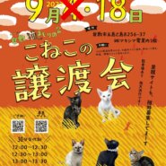 猫の譲渡会のお知らせ