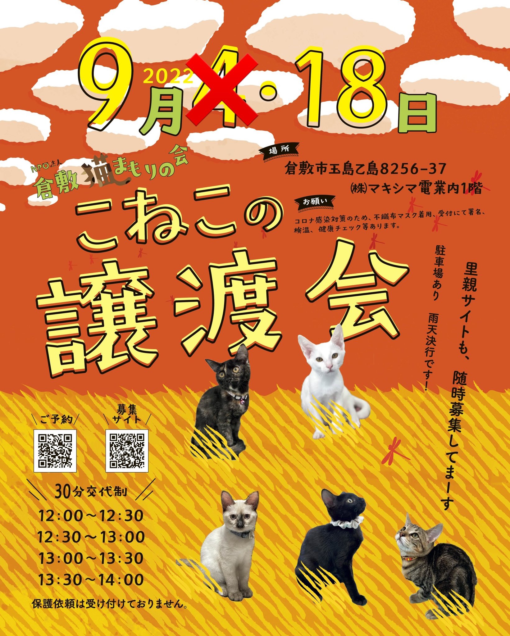 猫の譲渡会のお知らせ