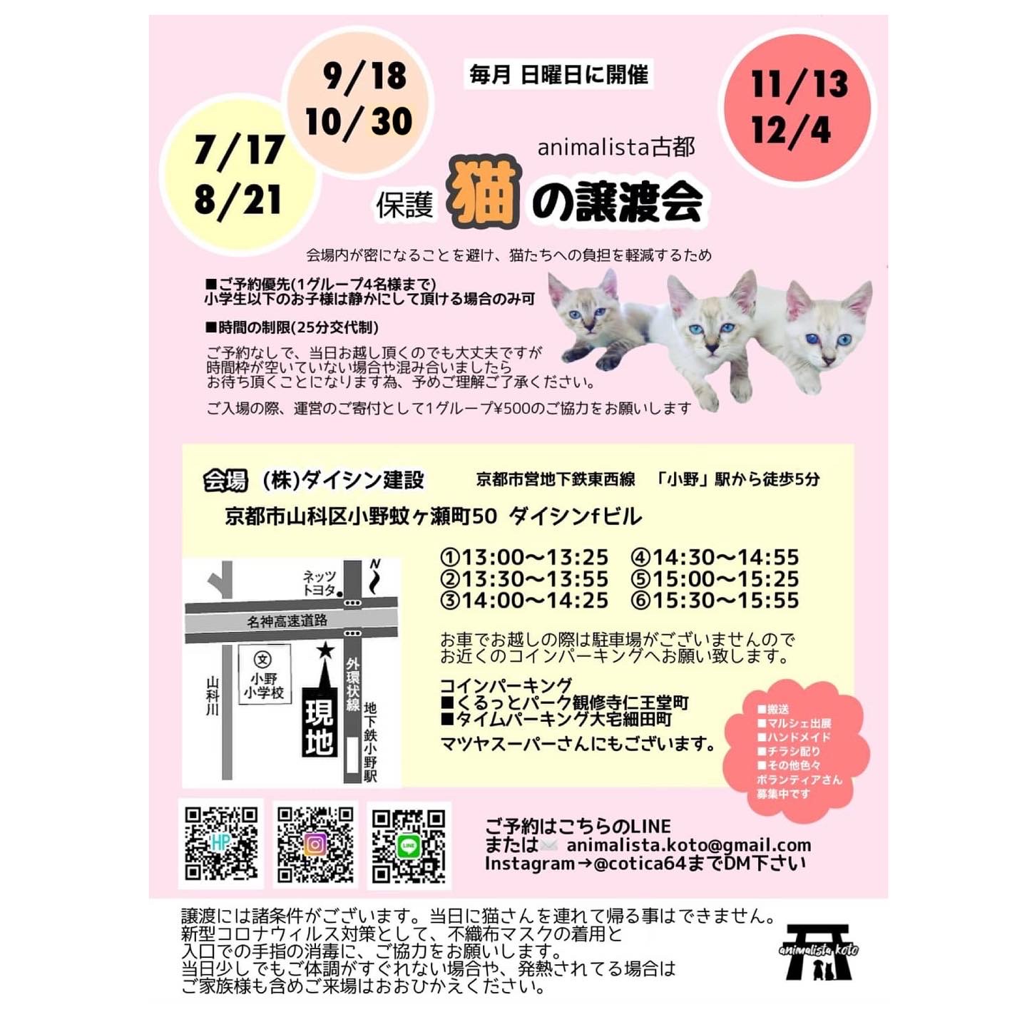 animalista古都　保護猫の譲渡会