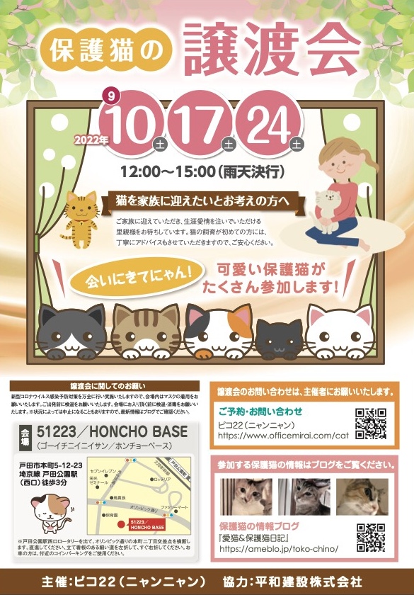 保護猫の譲渡会