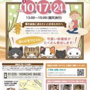保護猫の譲渡会