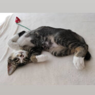 お耳の大きな4か月（糸島市）