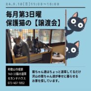 保護猫の譲渡会