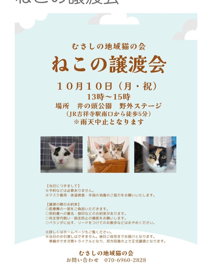 むさしの地域猫の会　譲渡会