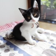 ねね 2022年7月16日生まれ