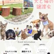 保護犬猫の譲渡会【犬Fēs】
