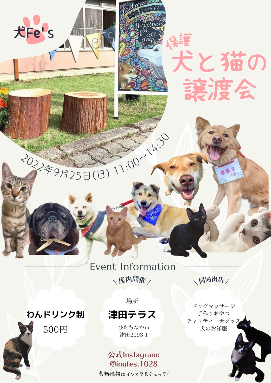 保護犬猫の譲渡会【犬Fēs】