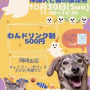 保護犬と猫の譲渡会 【犬Ｆéｓ」
