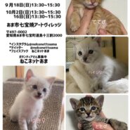 ねこネットあま 譲渡会の案内