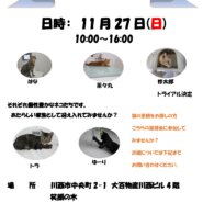 保護猫譲渡会