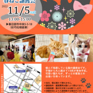 【春日部市】11/5（土）春ねこ譲渡会