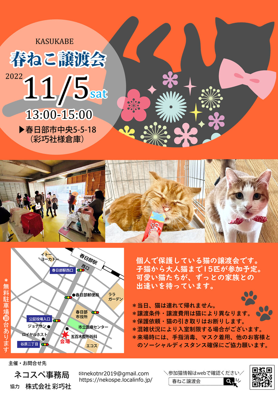 【春日部市】11/5（土）春ねこ譲渡会