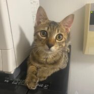 ういくん里親決定！