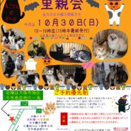 子猫がいっぱい譲渡会！