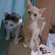 仲よしな兄妹！